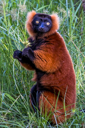 Madagascar 2022